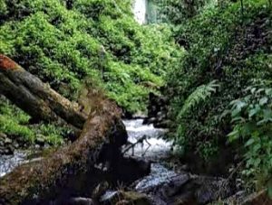 Dugaan Penyerobotan Sumber Air Di Dusun Sebaluh Terjawab Tak Pernah Ada Ijin Dari KPH Malang